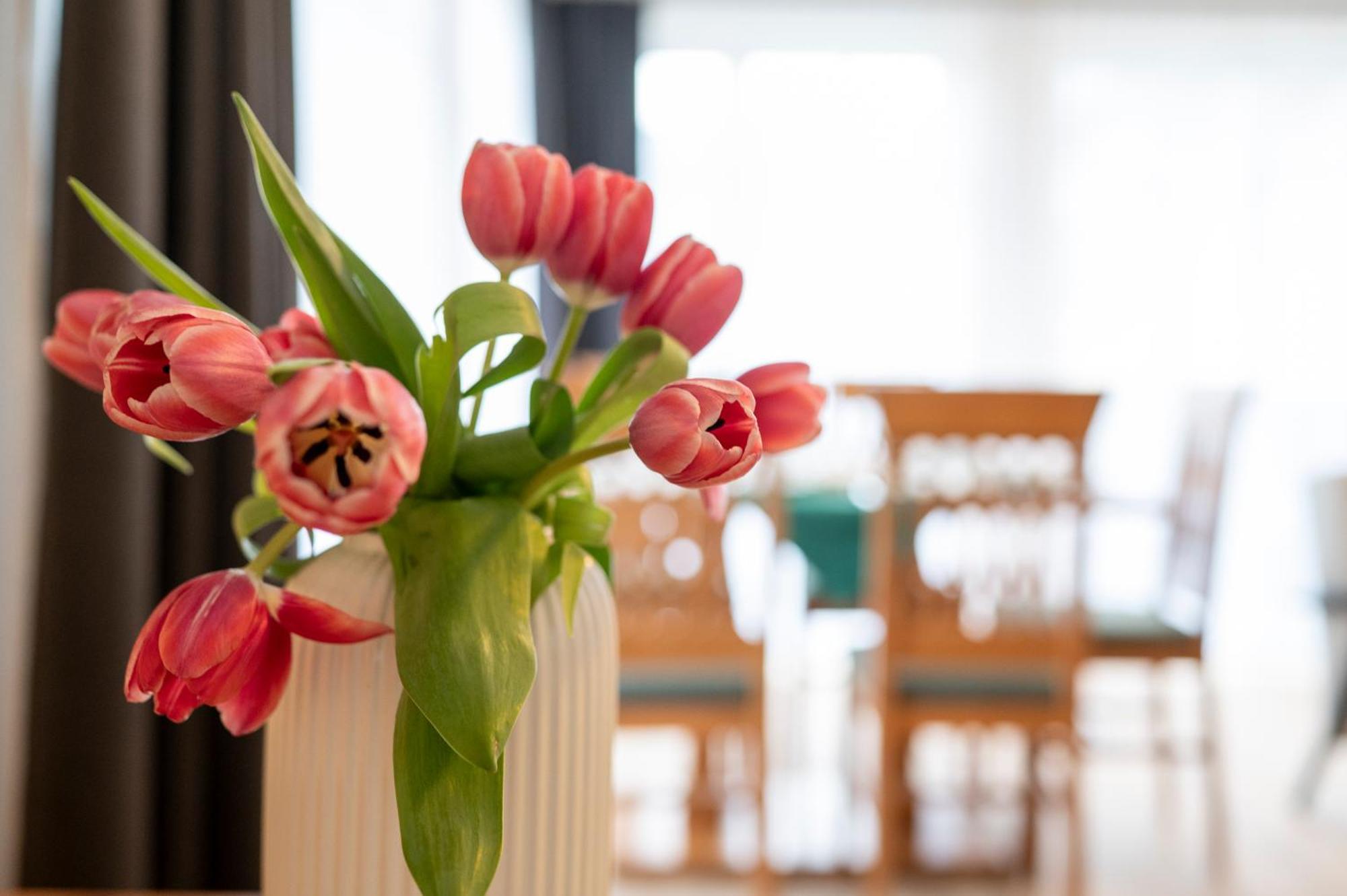 Ziehrerhaus Apartment ชตรอเบิล ภายนอก รูปภาพ